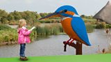 Castle Espie Wetland Centre