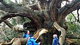 Nature Detectives
