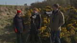 Birding on Spurn