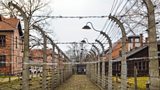 Our reporter Nicola Weir joined local students as they visited concentration camps in Poland