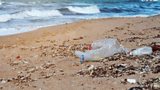 Beach Cleaning in Portrush