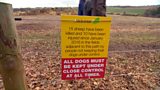 Attacks on sheep