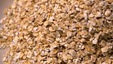 Oats