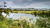 Castle Espie