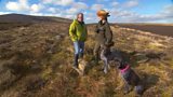 Grouse count