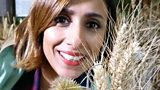 Harvest mice