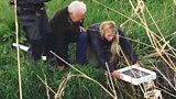 Elver conservation