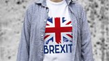 DUP spent nearly £100k on promo material supporting Brexit – how much of it did they distribute here?