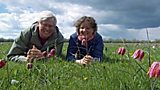 Spring Meadow Conservation
