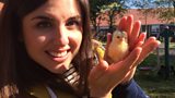 Hen Power