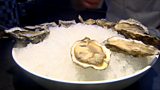 Oysters