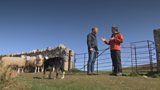 Great Orme