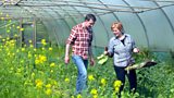 Foraging farm