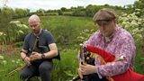 Uilleann Pipes