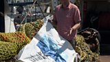 Ghost gear