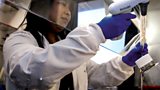 Progress through research
