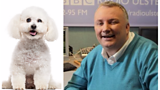 Stephen wants a Dog