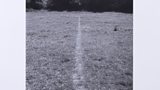 Richard Long