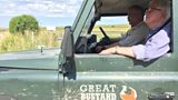 Great Bustards!