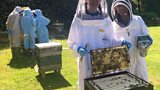 International Young Beekeepers
