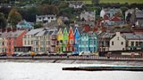 Whitehead Summer Festival