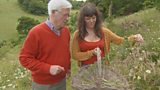 Meadow medicine