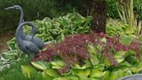 Foliage man