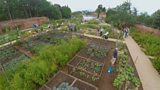 Guy鈥檚 Cliffe Walled Garden