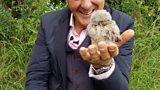 Owl Detective