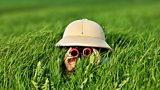 Are you a nature detective?
