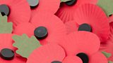 POPPIES