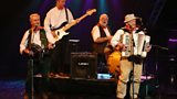 Upton Festival highlights: The Wurzels