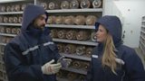 The Millennium Seed Bank