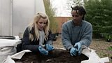Worm farming