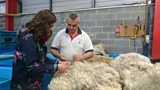 Knitting for Britain