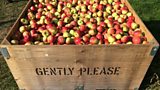 High-tech orchards