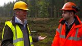 What is the future for our forests?