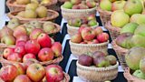 Apple Harvest Fayre