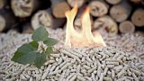 RHI INQUIRY