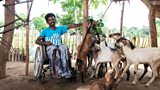 Freedom through mobility