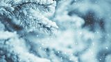 WINTER BLUNDERLAND