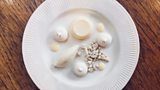White Christmas dessert of panna cotta with white chocolate soil & coconut cheesecake cream