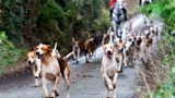 FOX HUNTING