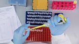 Precision Medicine