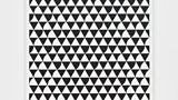 Bridget Riley