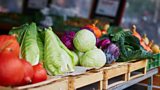 Do You Like Growing Vegetables?