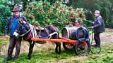 Johnny Fee and His Donkey Annaghmore Harvey