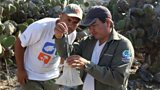 Habitat restoration and species reintroduction