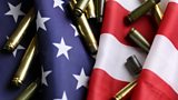 US GUN LAW
