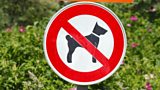 DOG BAN